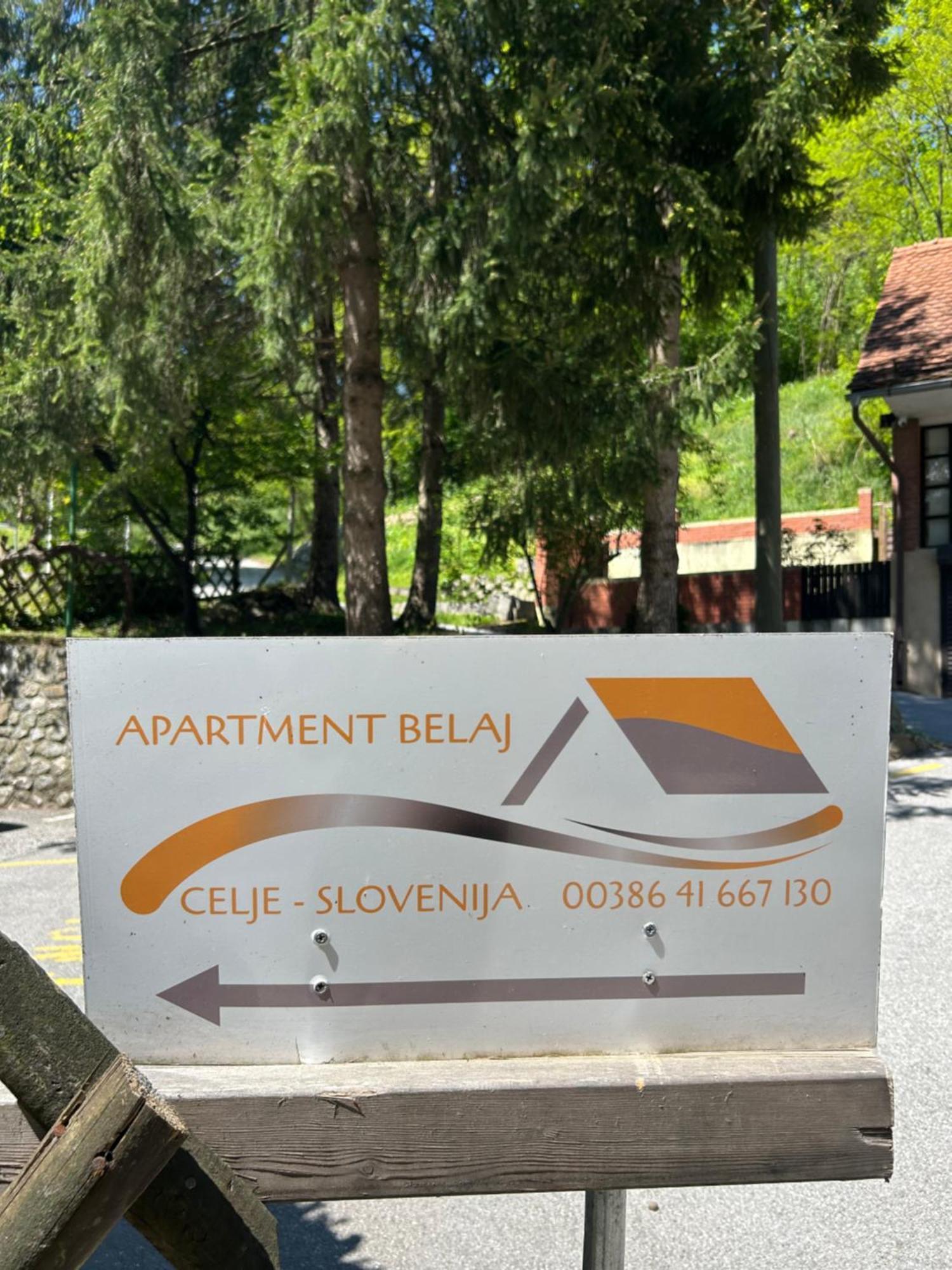 Apartment Belaj Celje Eksteriør billede